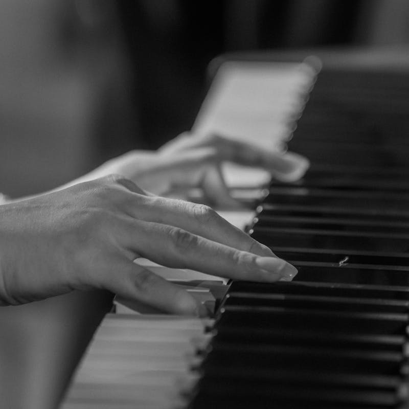 pexels-photo-33715059